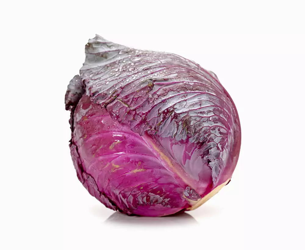 Red Cabbage